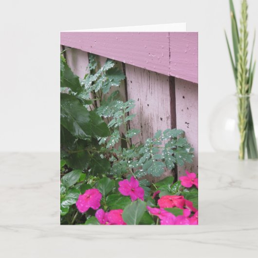 雨の後の庭 – マーサのブドウ畑 カード (正面)