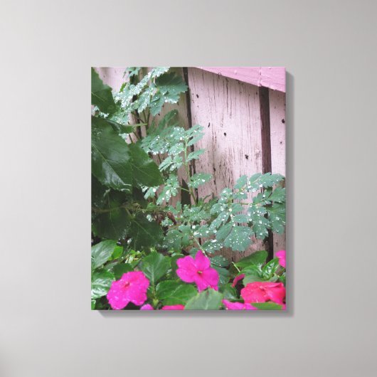 雨の後の庭 – マーサのブドウ畑 キャンバスプリント (正面)