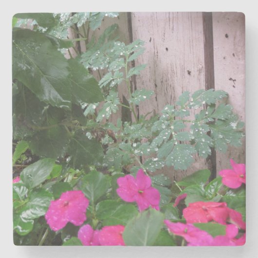 雨の後の庭 – マーサのブドウ畑 ストーンコースター (正面)