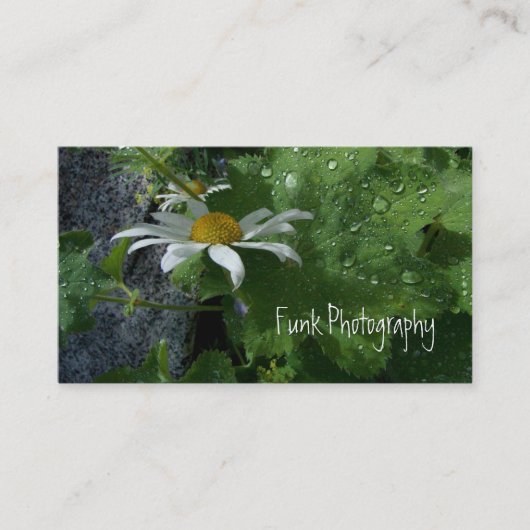 雨の後の日光 名刺 (正面)