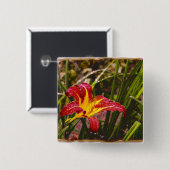 雨の後の昨日のリリー 缶バッジ (正面&裏面)