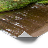 雨の後の森の中 ポスター (角)