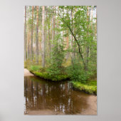 雨の後の森の中 ポスター (正面)