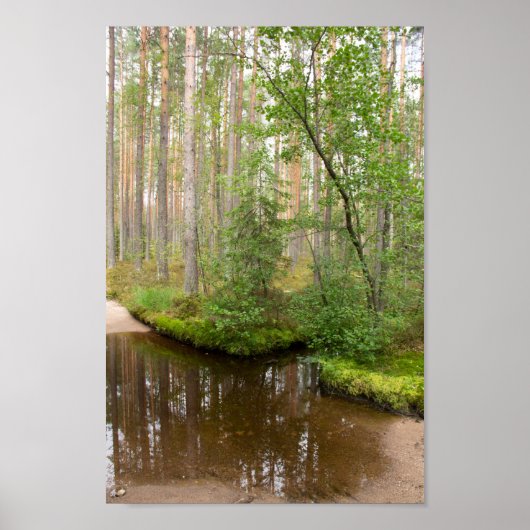 雨の後の森の中 ポスター (正面)