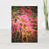 雨の後の美しい。 カード (正面)