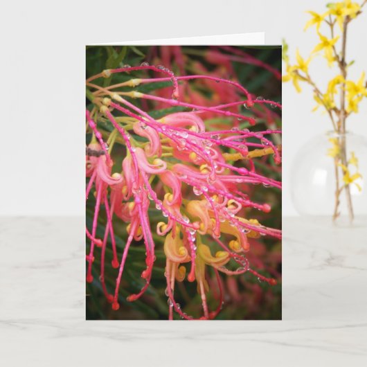 雨の後の美しい。 カード (黄色い花)