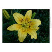 雨の後 (正面横)