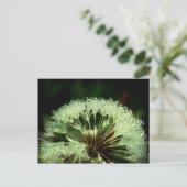 雨の後 – タンポポポの水滴 ポストカード (スタンド正面)