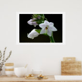 雨の後 ポスター (キッチン)