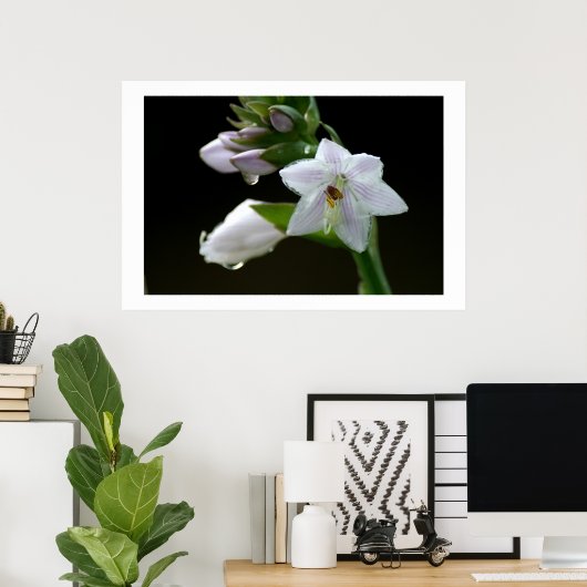 雨の後 ポスター (ホームオフィス)