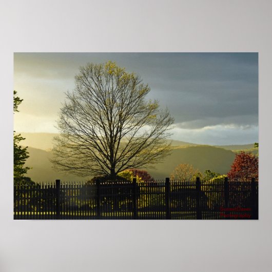 雨の後 ポスター (正面)