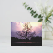 雨の後 ポストカード (スタンド正面)