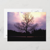 雨の後 ポストカード (正面/裏面)