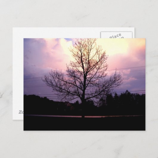 雨の後 ポストカード (正面/裏面)