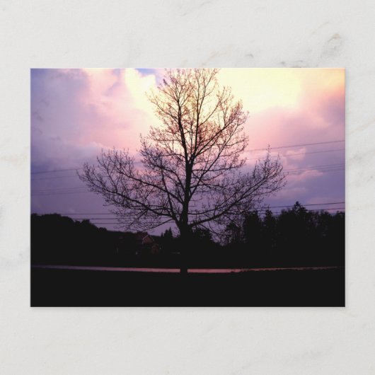 雨の後 ポストカード (正面)