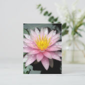 雨の後 ポストカード (スタンド正面)