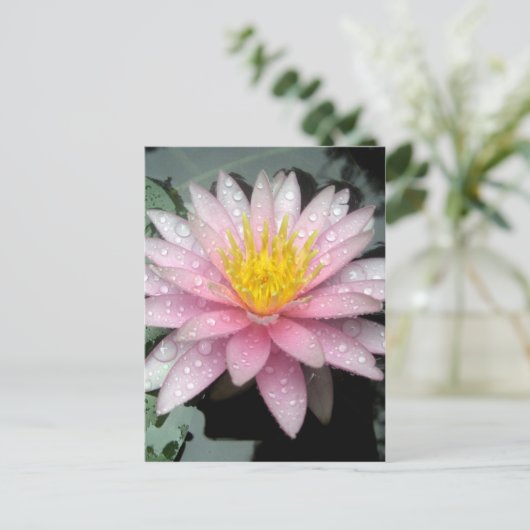 雨の後 ポストカード (スタンド正面)