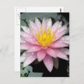 雨の後 ポストカード (正面/裏面)