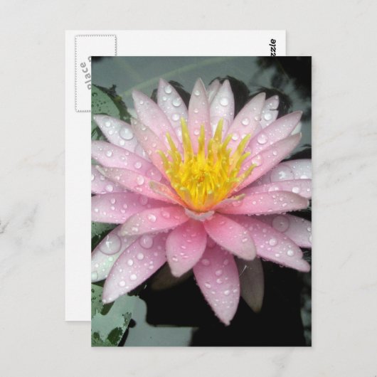 雨の後 ポストカード (正面/裏面)