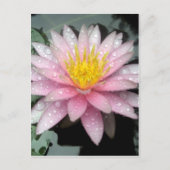 雨の後 ポストカード (正面)