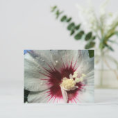 雨の後 ポストカード (スタンド正面)