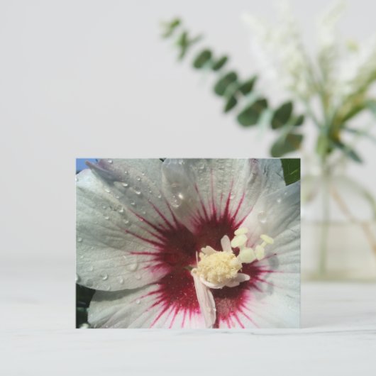 雨の後 ポストカード (スタンド正面)