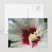 雨の後 ポストカード (正面/裏面)