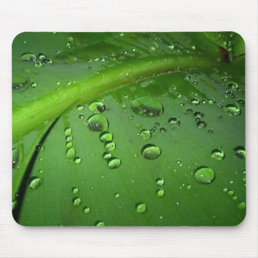 雨の後 マウスパッド (正面)