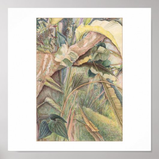 雨の後© 2010 ポスター (正面)