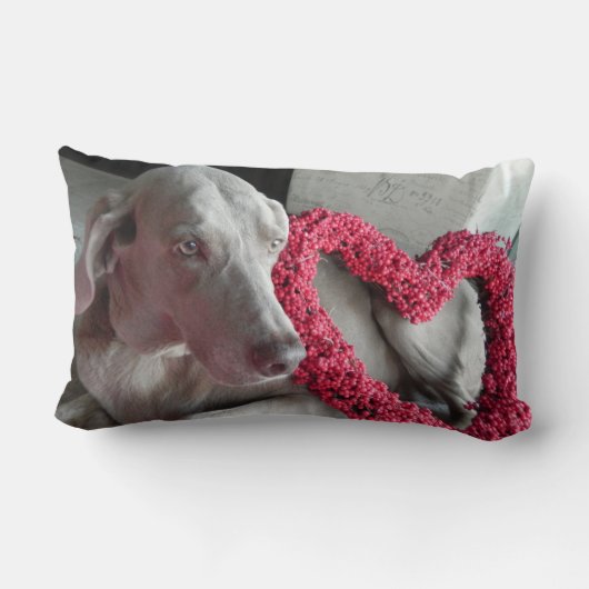 雨の愛 – Weimaraner Dog Pic – 枕 (裏面)