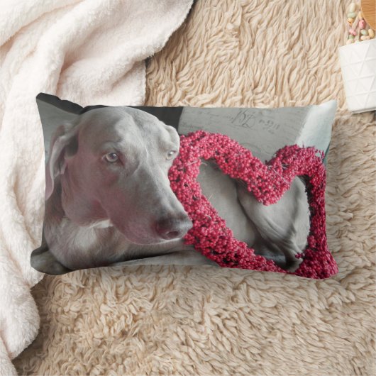 雨の愛 – Weimaraner Dog Pic – 枕 (ブランケット)
