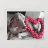 雨の愛 – Weimaraner Dog Valentine – フラットカード シーズンカード (正面/裏面)