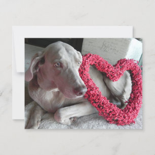 雨の愛 – Weimaraner Dog Valentine – フラットカード シーズンカード
