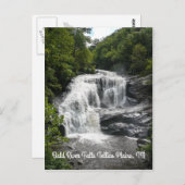 雨の感謝してい縦はがき ポストカード (正面/裏面)