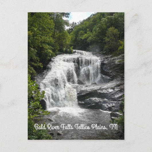 雨の感謝してい縦はがき ポストカード (正面)