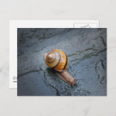 雨の日に元気いっぱいのカタツムリ ポストカード (正面/裏面)