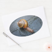 雨の日に元気いっぱいのカタツムリ 楕円形シール (封筒)