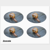 雨の日に元気いっぱいのカタツムリ 楕円形シール (シート)