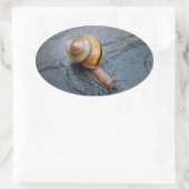 雨の日に元気いっぱいのカタツムリ 楕円形シール (バッグ)