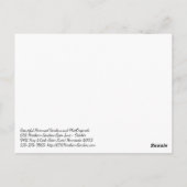 雨の日に再び咲くデイリーガーデンズ ポストカード (裏面)