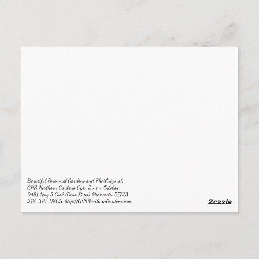 雨の日に再び咲くデイリーガーデンズ ポストカード (裏面)