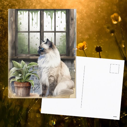 雨の日に水色の青い目の猫 シーズンポストカード