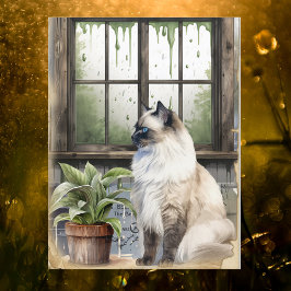 雨の日に水色の青い目の猫 シーズンポストカード