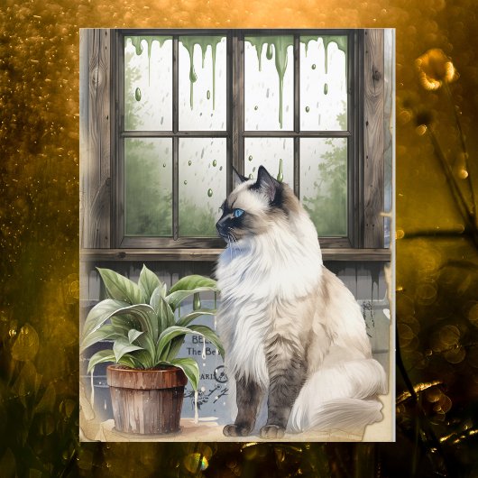 雨の日に水色の青い目の猫 シーズンポストカード