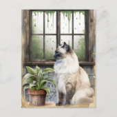 雨の日に水色の青い目の猫 シーズンポストカード (正面)