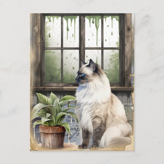 雨の日に水色の青い目の猫 シーズンポストカード (正面)