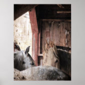 雨の日に納屋に入る馬 ポスター (正面)