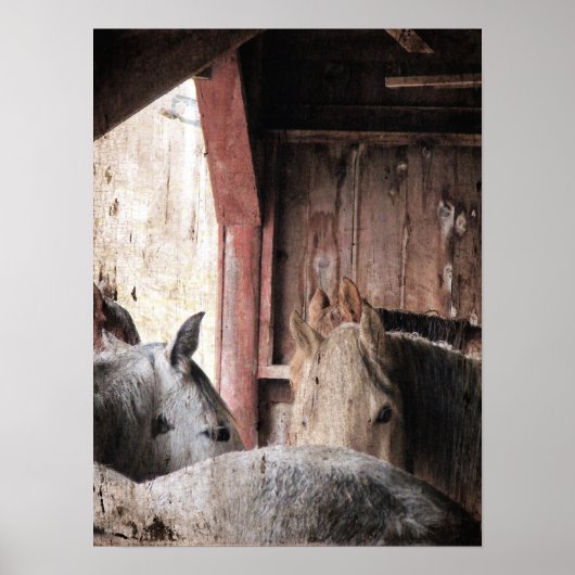 雨の日に納屋に入る馬 ポスター (正面)