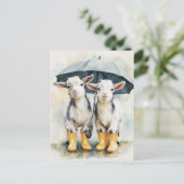 雨の日に見つけたおベビーヤギが2頭 ポストカード (スタンド正面)