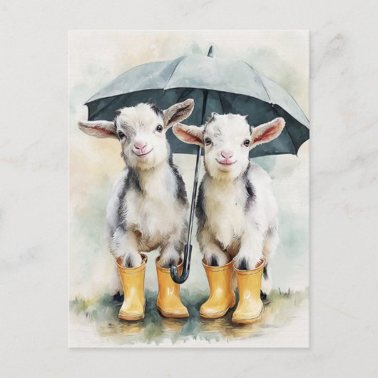 雨の日に見つけたおベビーヤギが2頭 ポストカード (正面)